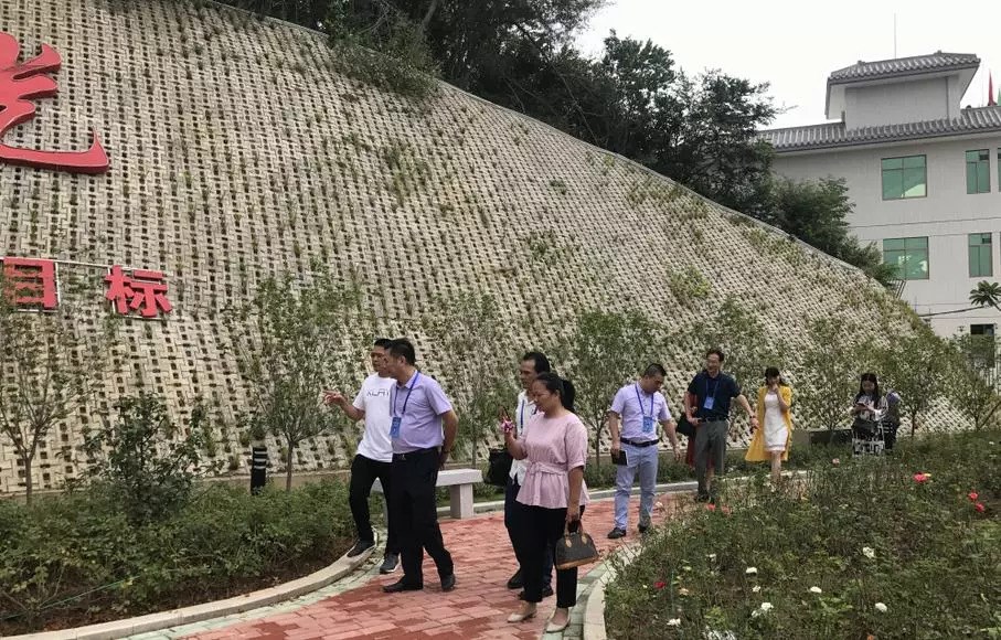 图片41.png